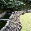 CASA POBLADO POR MALL DRIVE Cod. CA-243